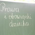 zdjęcie nr 11
