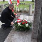zdjęcie nr 46