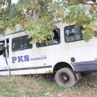 zdjęcie nr 45