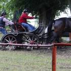 zdjęcie nr 49