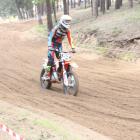 Fotka nr 3 z 102