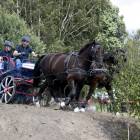 zdjęcie nr 60