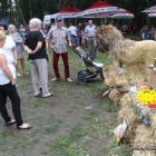zdjęcie nr 15