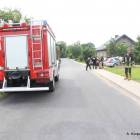 Fotka nr 4 z 12