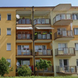 zdjęcie nr 