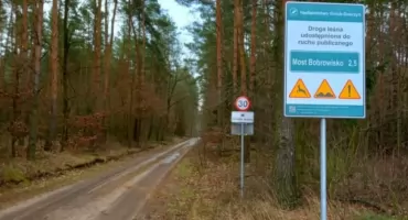 Dlaczego Lasy Państwowe pomagają budować drogi
