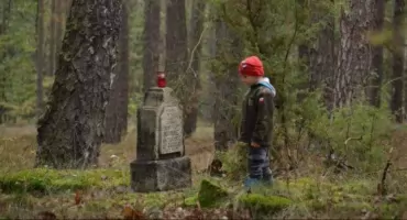 Mogiły pośród lasów