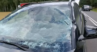 O włos od tragedii. 