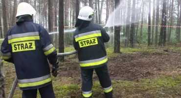 Zatrzymali 28-letniego podpalacza. Wyraził skruchę