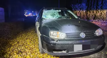 15-latka potrącona w Radomicach! Sprawca już w areszcie