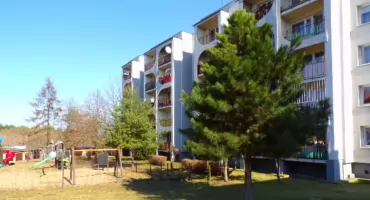 Los drzew w rękach burmistrza [interwencja]